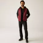 Regatta Rowak Férfi könnyû bélelt kabát bordó