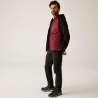 Regatta Andreson Hybrid Férfi hibrid kabát bordó