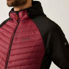 Regatta Andreson Hybrid Férfi hibrid kabát bordó