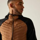 Regatta Andreson Hybrid Férfi hibrid kabát barna
