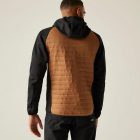 Regatta Andreson Hybrid Férfi hibrid kabát barna