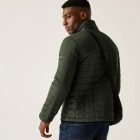 Regatta Haire Férfi steppelt télikabát zöld