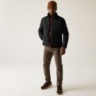 Regatta Haire Férfi steppelt télikabát fekete