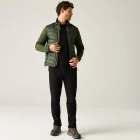 Regatta Brentmoor Hybrid Férfi hibrid kabát softshell ujjakkal  zöld