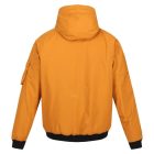 Regatta Fazian Férfi bélelt kabát 8.000 mm barna