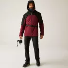 Regatta Thornridge Férfi 10.000 mm bélelt kabát bordó