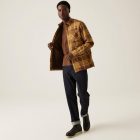 Regatta Thamos férfi bélelt ing sárga