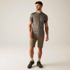 Regatta Remex II férfi gyorsan száradó póló barna