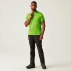 Regatta Remex II férfi gyorsan száradó póló zöld