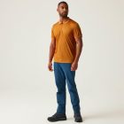 Regatta Remex II férfi gyorsan száradó póló narancs