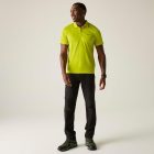 Regatta Maverik V férfi póló sárga