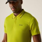 Regatta Maverik V férfi póló sárga