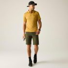 Regatta Maverik V férfi póló barna