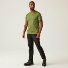 Regatta Fingal Edition férfi gyorsan száradó póló zöld