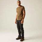 Regatta Fingal Edition férfi gyorsan száradó póló barna