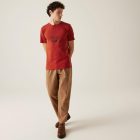 Regatta Cline IX Férfi póló piros