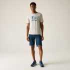 Regatta Cline IX Férfi póló szürke