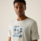 Regatta Cline IX Férfi póló szürke