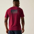 Regatta Cline IX Férfi póló bordó