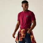 Regatta Cline IX Férfi póló bordó