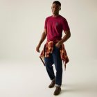 Regatta Cline IX Férfi póló bordó