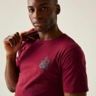 Regatta Cline IX Férfi póló bordó