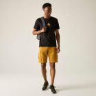 Regatta Cline IX Férfi póló fekete