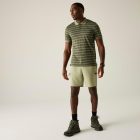 Regatta Kildra Férfi galléros póló zöld