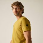 Regatta Finlo Férfi póló barna