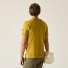 Regatta Finlo Férfi póló barna