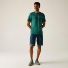 Regatta Rendro Férfi póló zöld