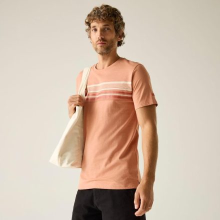 Regatta Rendro Férfi póló barna