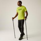 Regatta Fingal Férfi póló sárga