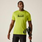 Regatta Fingal Férfi póló sárga