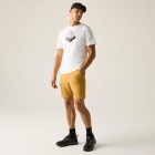 Regatta Fingal Férfi póló fehér