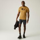 Regatta Fingal Férfi póló barna