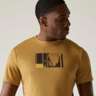 Regatta Fingal Férfi póló barna