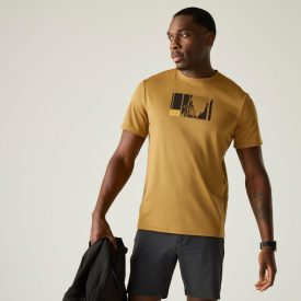 Regatta Fingal Férfi póló barna