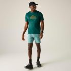 Regatta Fingal Férfi póló zöld