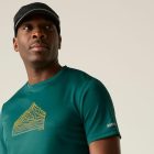 Regatta Fingal Férfi póló zöld