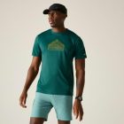 Regatta Fingal Férfi póló zöld