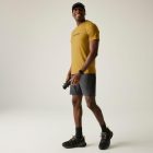 Regatta Fingal Stretch Férfi póló barna