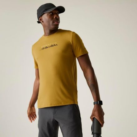 Regatta Fingal Stretch Férfi póló barna