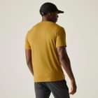 Regatta Fingal Stretch Férfi póló barna