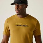 Regatta Fingal Stretch Férfi póló barna