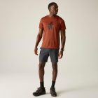 Regatta Fingal Slogan Férfi póló narancs