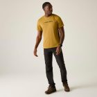 Regatta Fingal Slogan Férfi póló barna