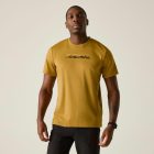 Regatta Fingal Slogan Férfi póló barna