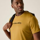 Regatta Fingal Slogan Férfi póló barna