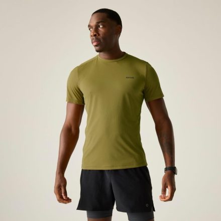 Regatta Mindo AIsct S/S T Férfi póló barna